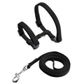 Cat Harness and Leash Set – Lightweight and Adjustable for Outdoor Adventures-My Little Pet