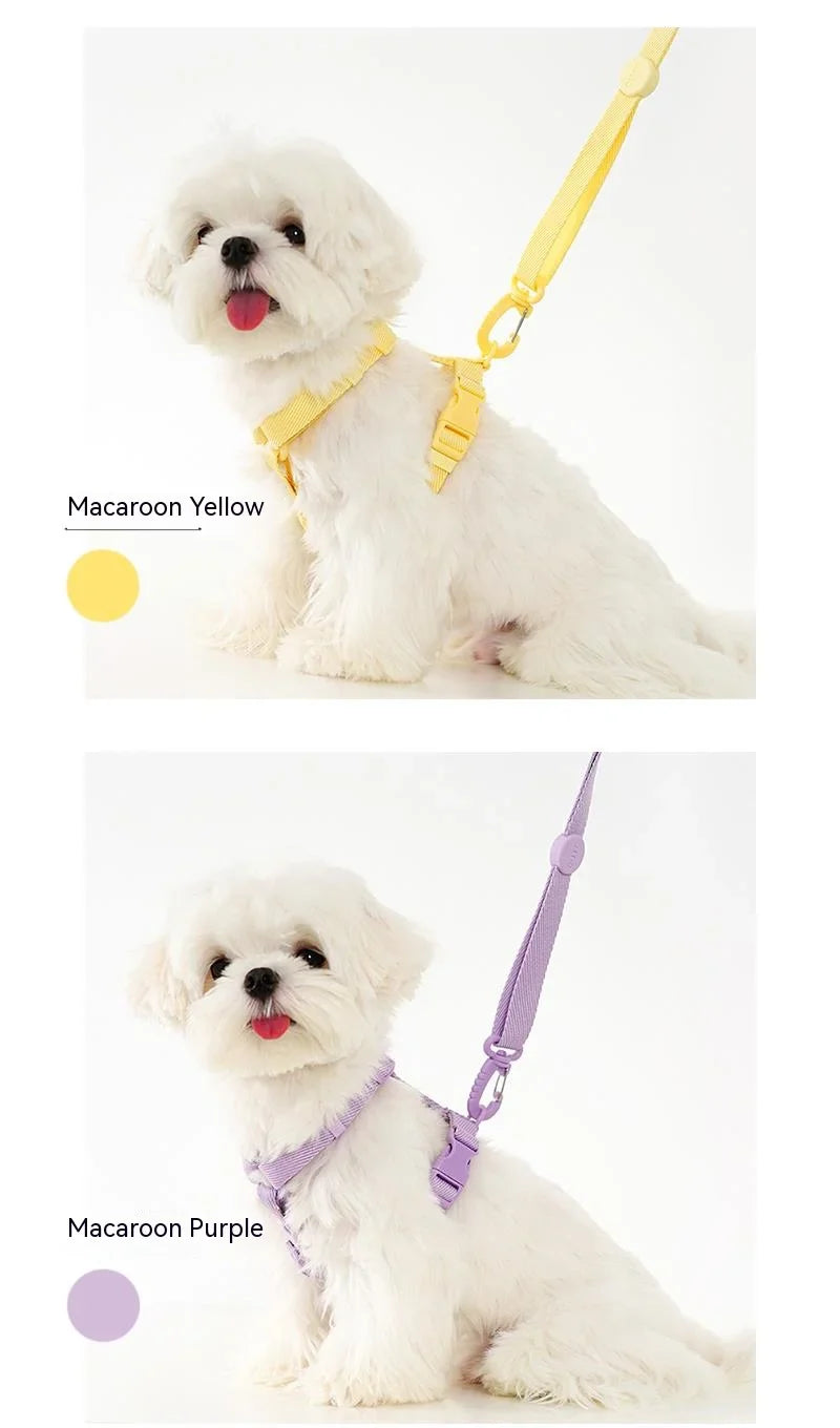 Macarone Color Pet Harness and Leash Set for Small Dogs and Cats-My Little Pet