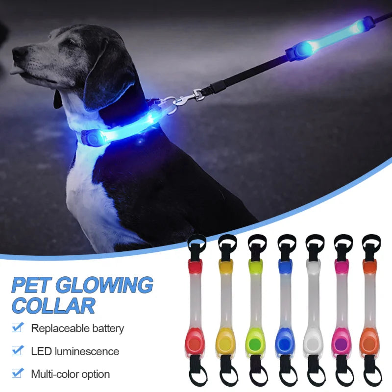 LED Safety Collar & Leash for Dogs - Waterproof with Flashing Lights-My Little Pet