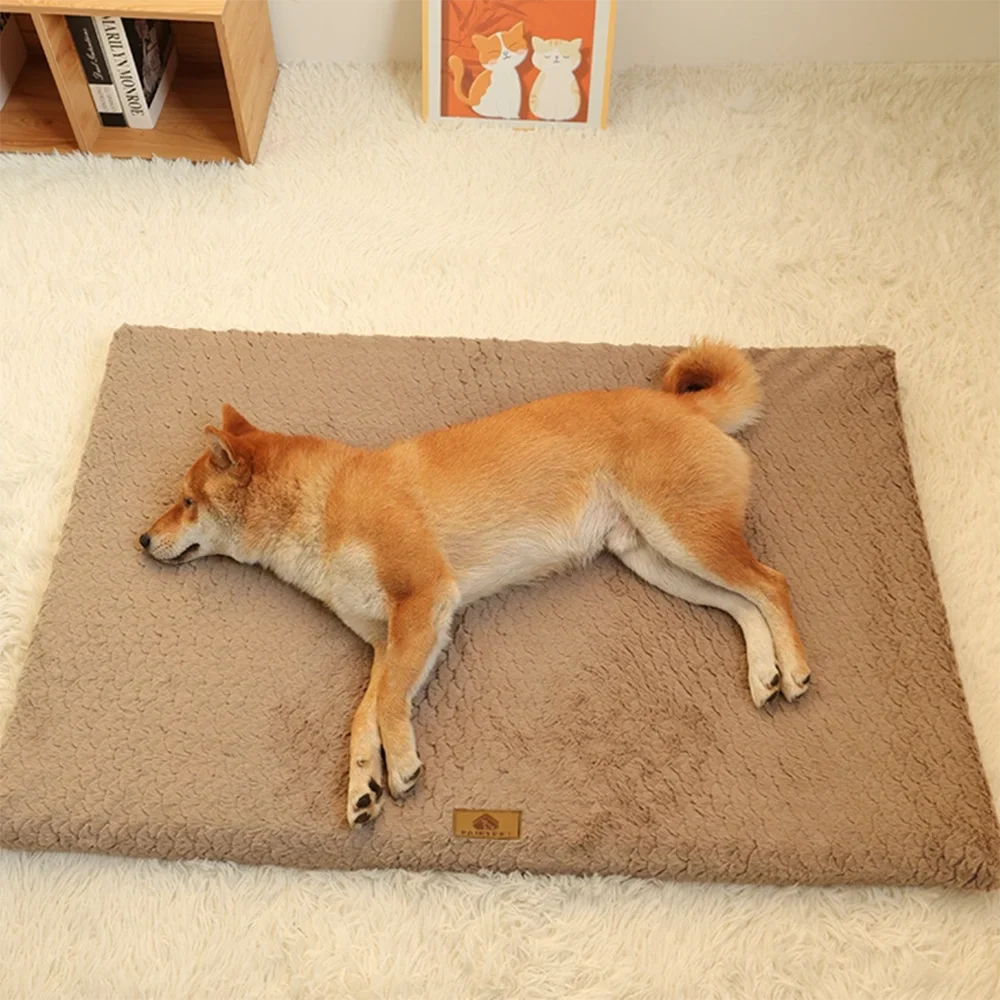 Orthopedic Memory Foam Dog Bed with Washable Faux Fur Cover-My Little Pet