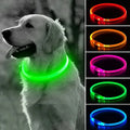 LED Glow Collar for Dogs – Adjustable and Rechargeable Night Safety - My Little Pet