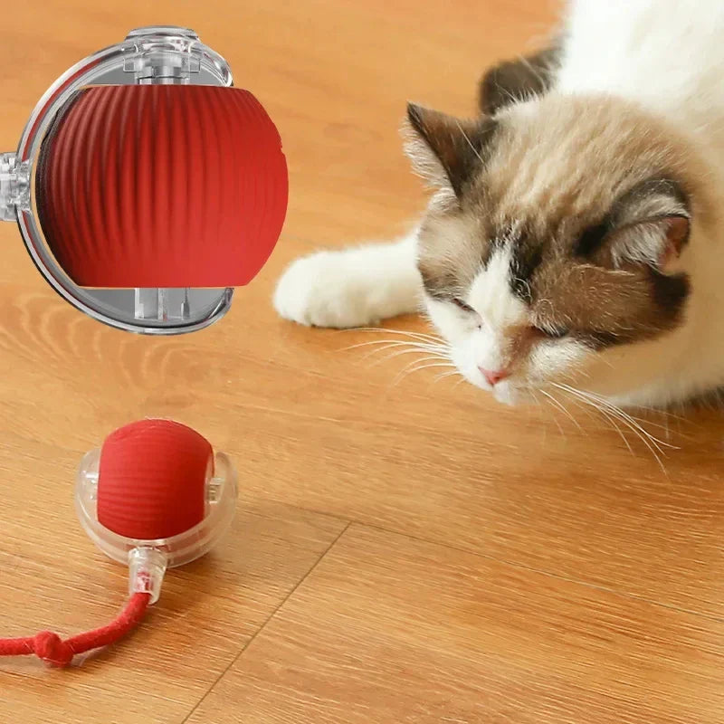 Interactive Rolling Cat Toy - Self-Teasing Red Ball for Pet Fun-My Little Pet