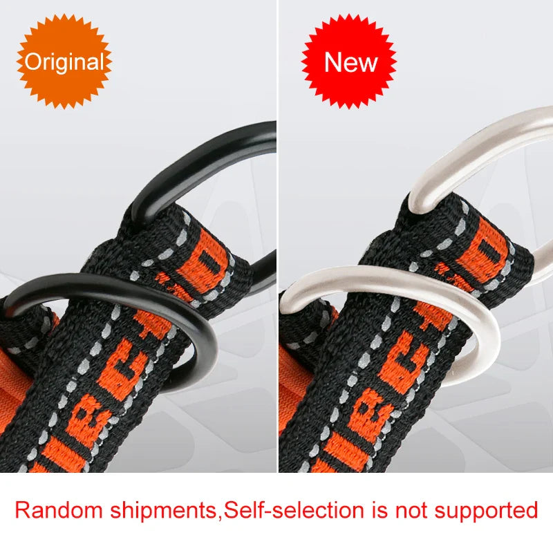 Truelove Neoprene Padded Reflective Dog Collar - TLC5371-My Little Pet