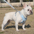 Reflective Dog Harness and Leash Set for Small to Medium Dogs-My Little Pet