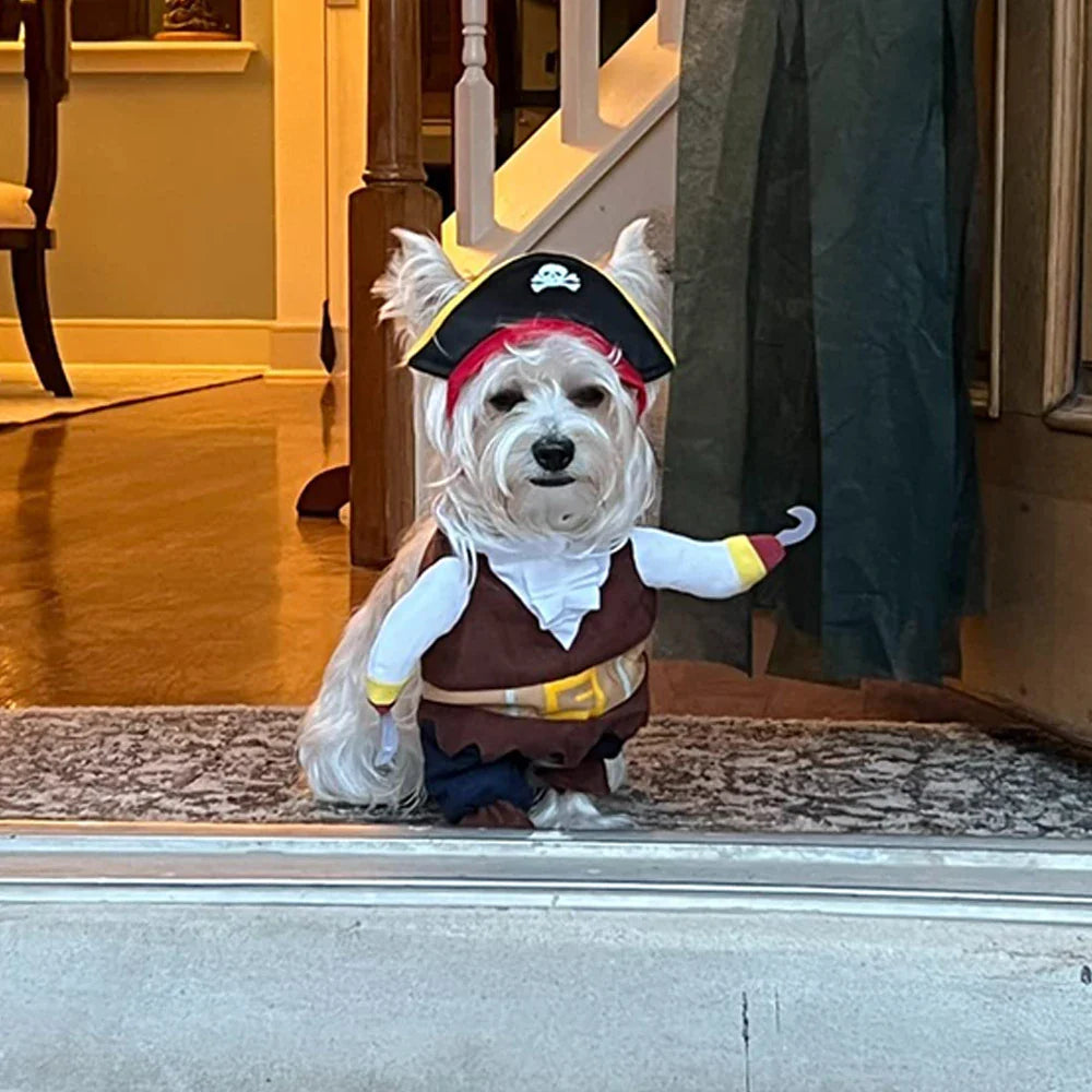 Pirate Costume for Cats and Dogs - Halloween and Party Dress-Up Outfit-My Little Pet