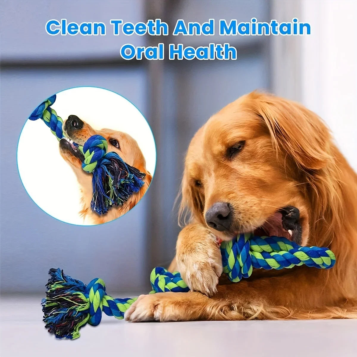 2-Piece Durable Rope Knot Dog Toys for Large Dogs – Dental Health and Interactive Play-My Little Pet