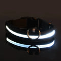 LED Nylon Dog Leash – Glowing Flashing Night Safety Leash for Dogs - My Little Pet