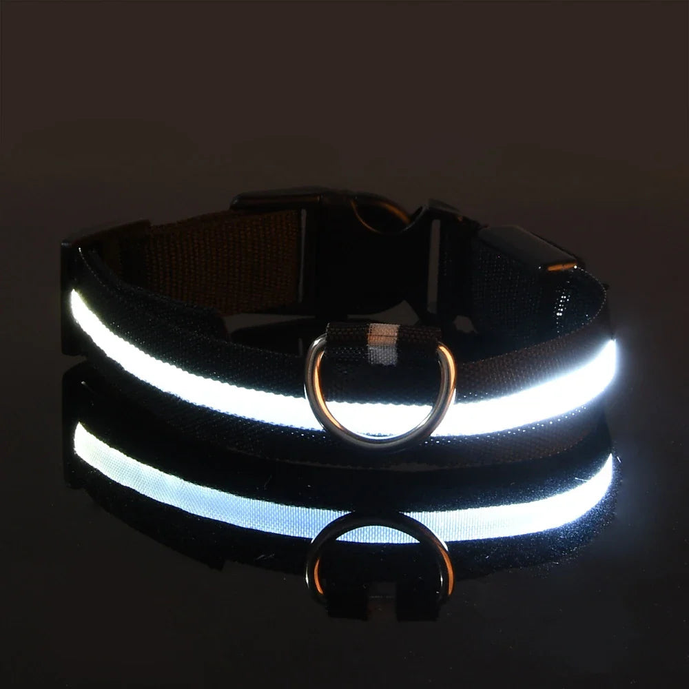 LED Nylon Dog Leash – Glowing Flashing Night Safety Leash for Dogs - My Little Pet