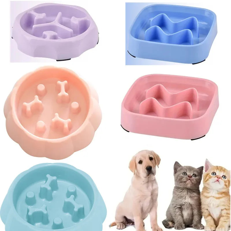 Anti-Choking Slow Feeder Bowl for Dogs and Cats-My Little Pet