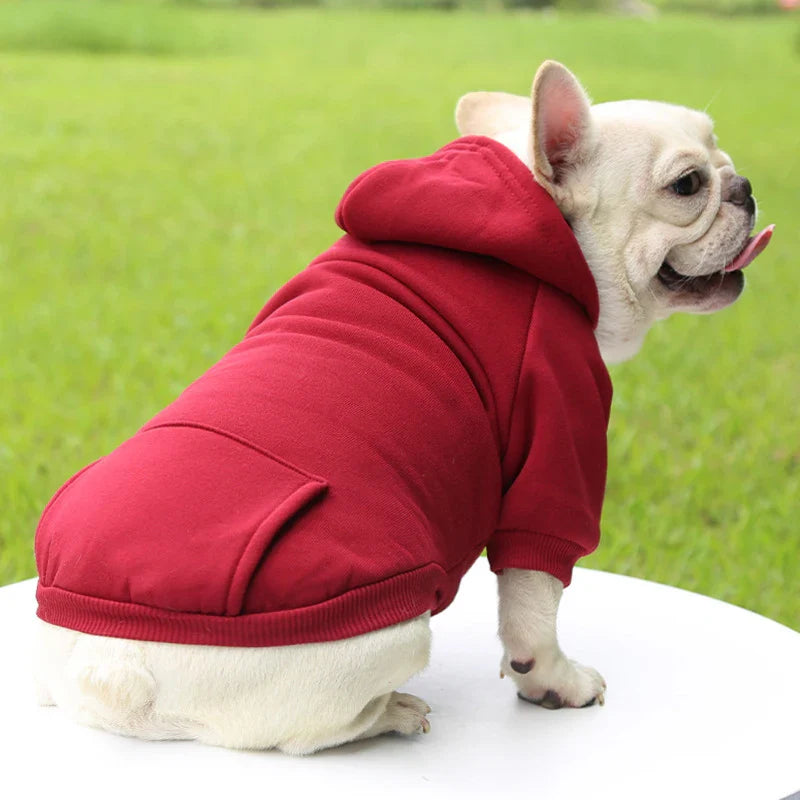 Stylish Dog Hoodie for Autumn and Winter - Warm Polyester Sweater for Small Pets-My Little Pet