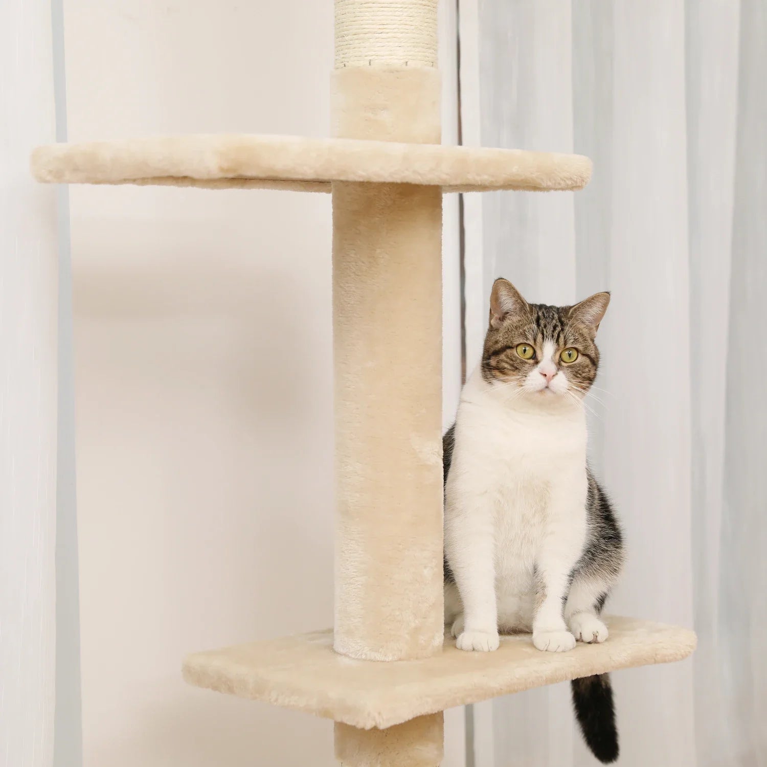 Floor-to-Ceiling Cat Tree - 228-274cm Tall Cat Climbing Tower-My Little Pet