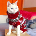 Chic Elk Print Sweater for Cats and Small Dogs-My Little Pet