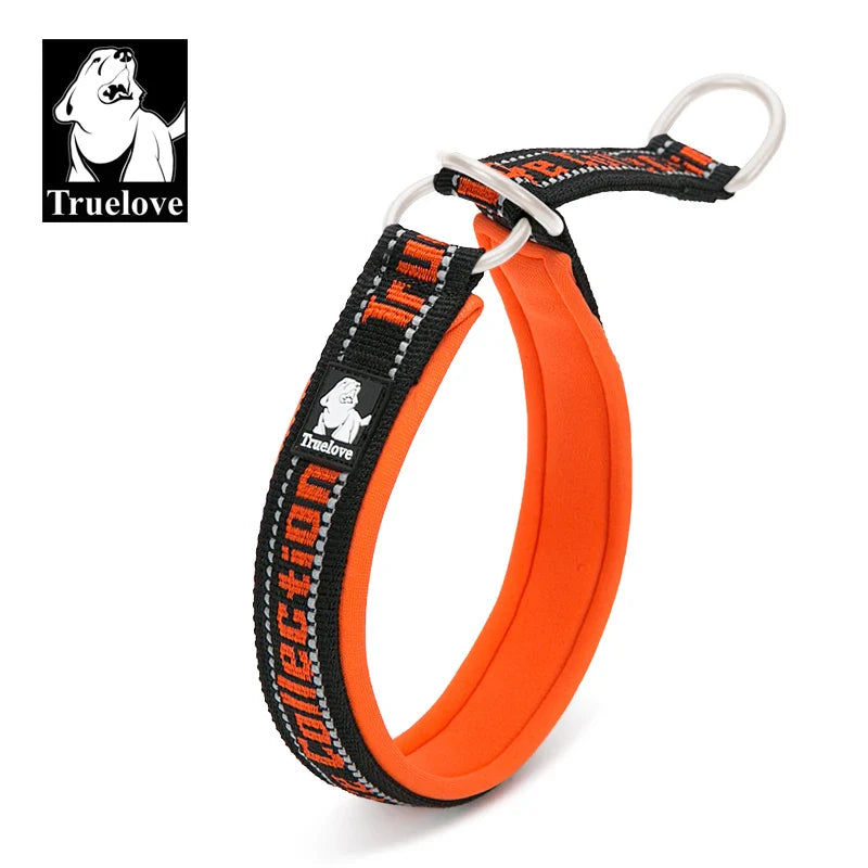 Truelove Neoprene Padded Reflective Dog Collar - TLC5371-My Little Pet