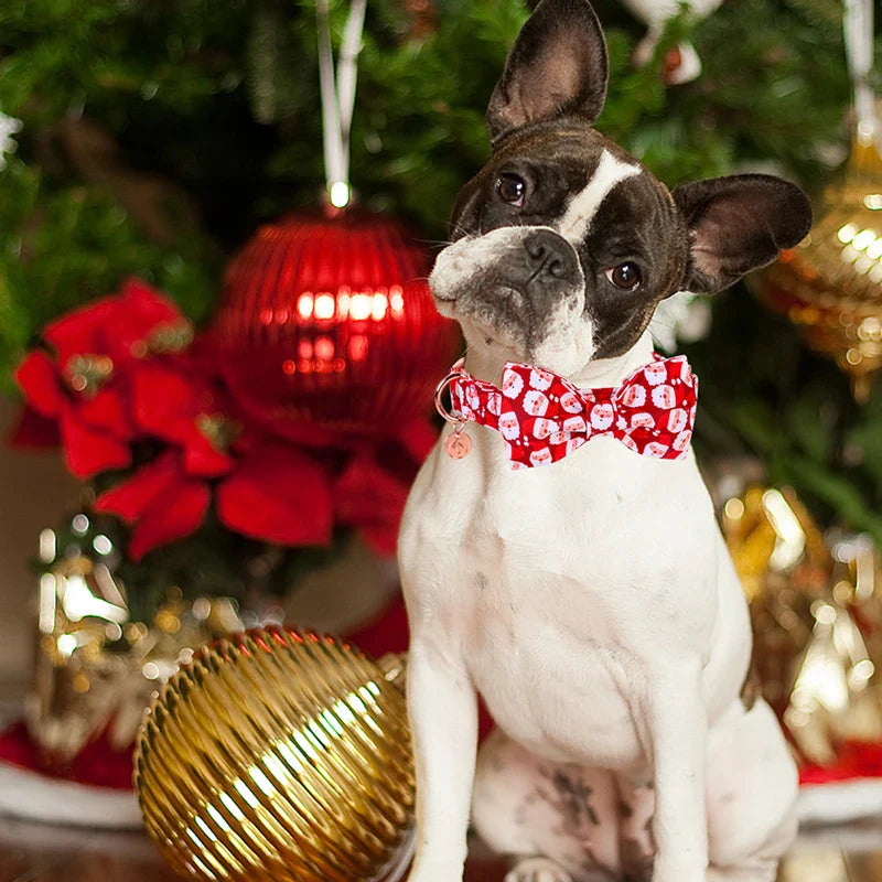 Personalized Christmas Dog Collar with Bow - Red Santa Design for All Sizes-My Little Pet