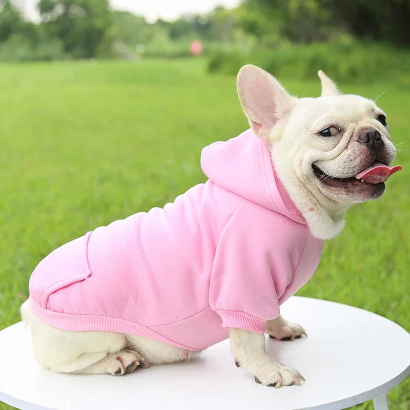 Stylish Dog Hoodie for Autumn and Winter - Warm Polyester Sweater for Small Pets-My Little Pet