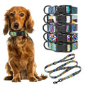 Bohemia Style Pet Collar and Leash Set for Dogs and Cats-My Little Pet