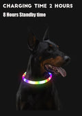 Rechargeable LED Dog Collar - High Visibility & Adjustable-My Little Pet