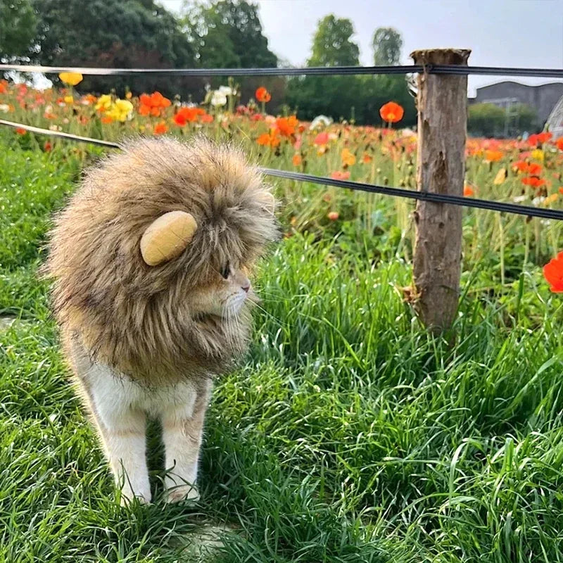 Lion Mane Cat Costume Wig-My Little Pet