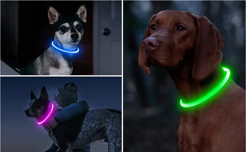 Rechargeable LED Dog Collar - High Visibility & Adjustable-My Little Pet