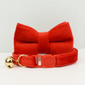 Velvet Cat Collar with Adjustable Safety and Bell-My Little Pet