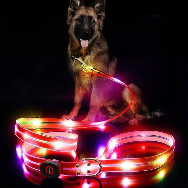 Rechargeable LED Dog Leash for Enhanced Nighttime Safety-My Little Pet