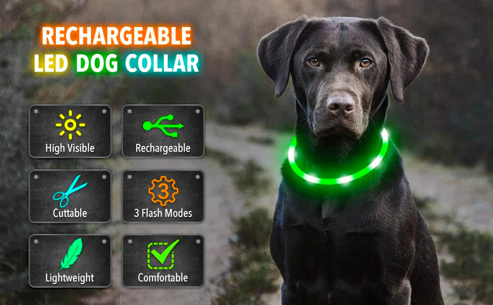 Rechargeable LED Dog Collar - Adjustable, Luminous Safety Collar for Pets-My Little Pet