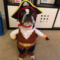 Pirate Costume for Cats and Dogs - Halloween and Party Dress-Up Outfit-My Little Pet