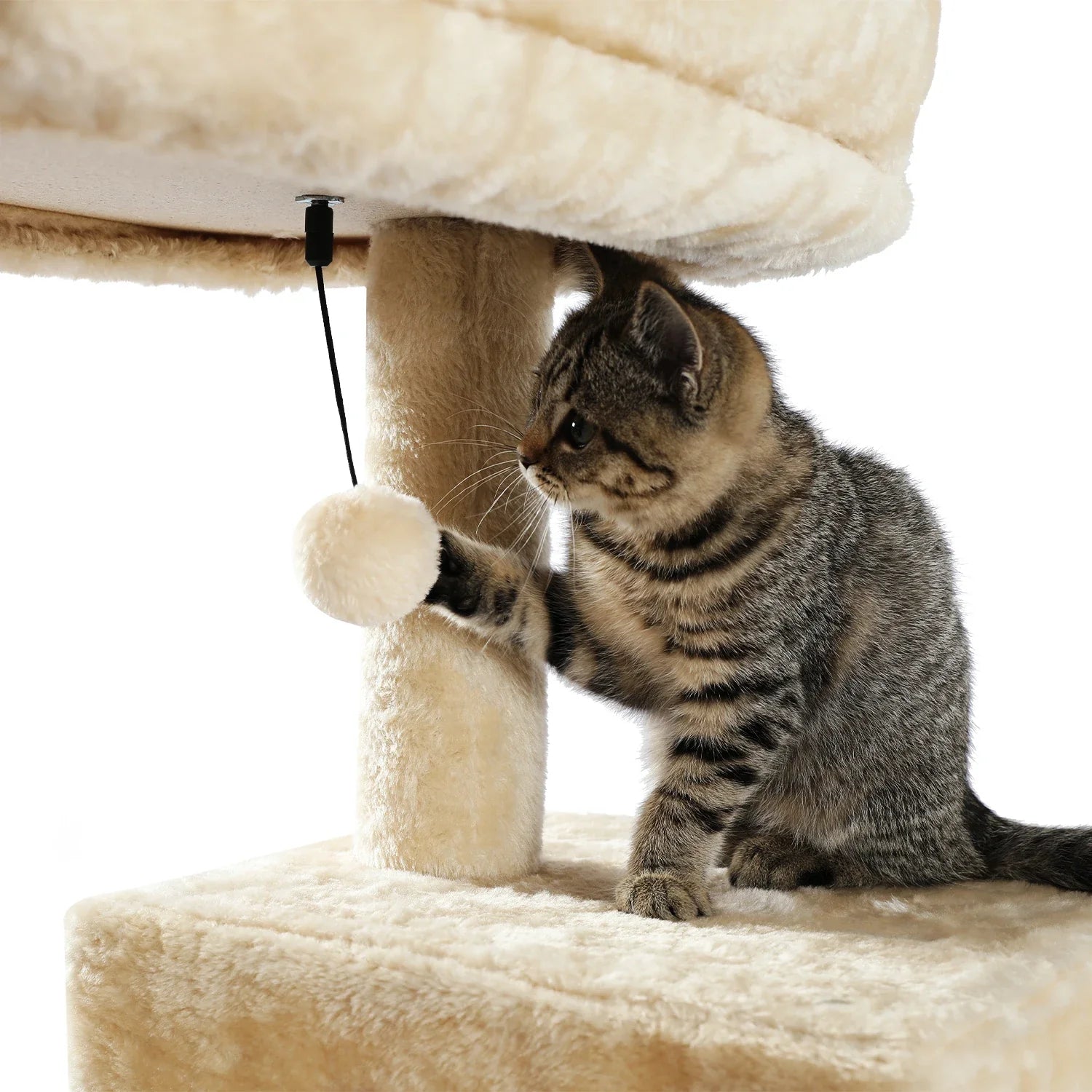 Multi-Level Cat Tree with Condo and Scratching Posts-My Little Pet