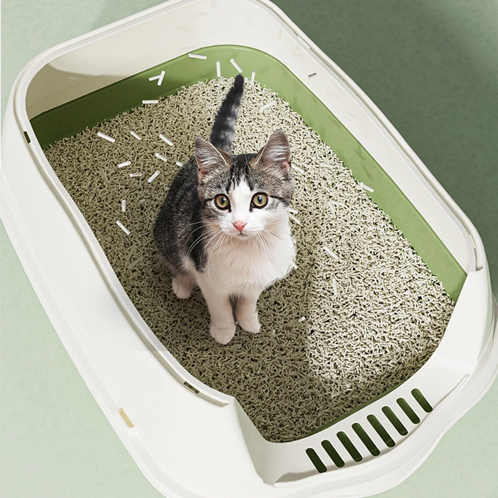 Enclosed Hooded Cat Litter Box with Scoop - Odor-Resistant and Easy to Clean-My Little Pet