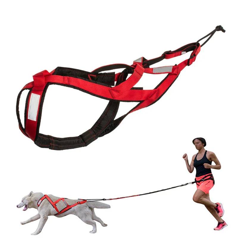 Reflective Dog Harness Vest for Sledding and Mushing Activities-My Little Pet