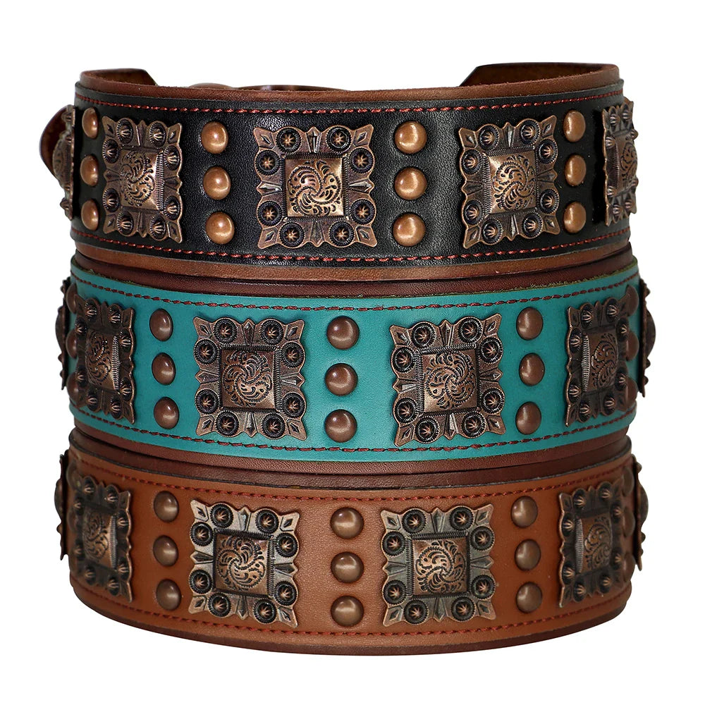 Luxury Genuine Leather Dog Collar with Spikes and Metal Rivets, 2inch Wide-My Little Pet