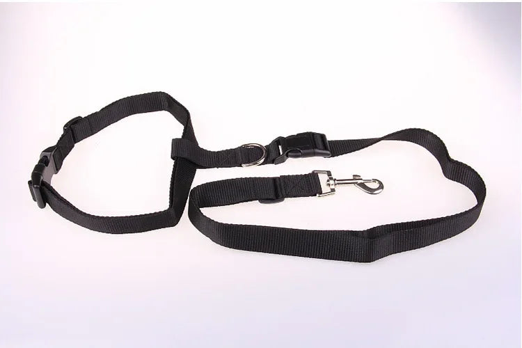 Hands-Free Adjustable Dog Leash for Active Owners-My Little Pet