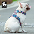 Truelove Floral Cotton Dog Harness - Reflective, Quick Release - Sizes XXS to XL-My Little Pet