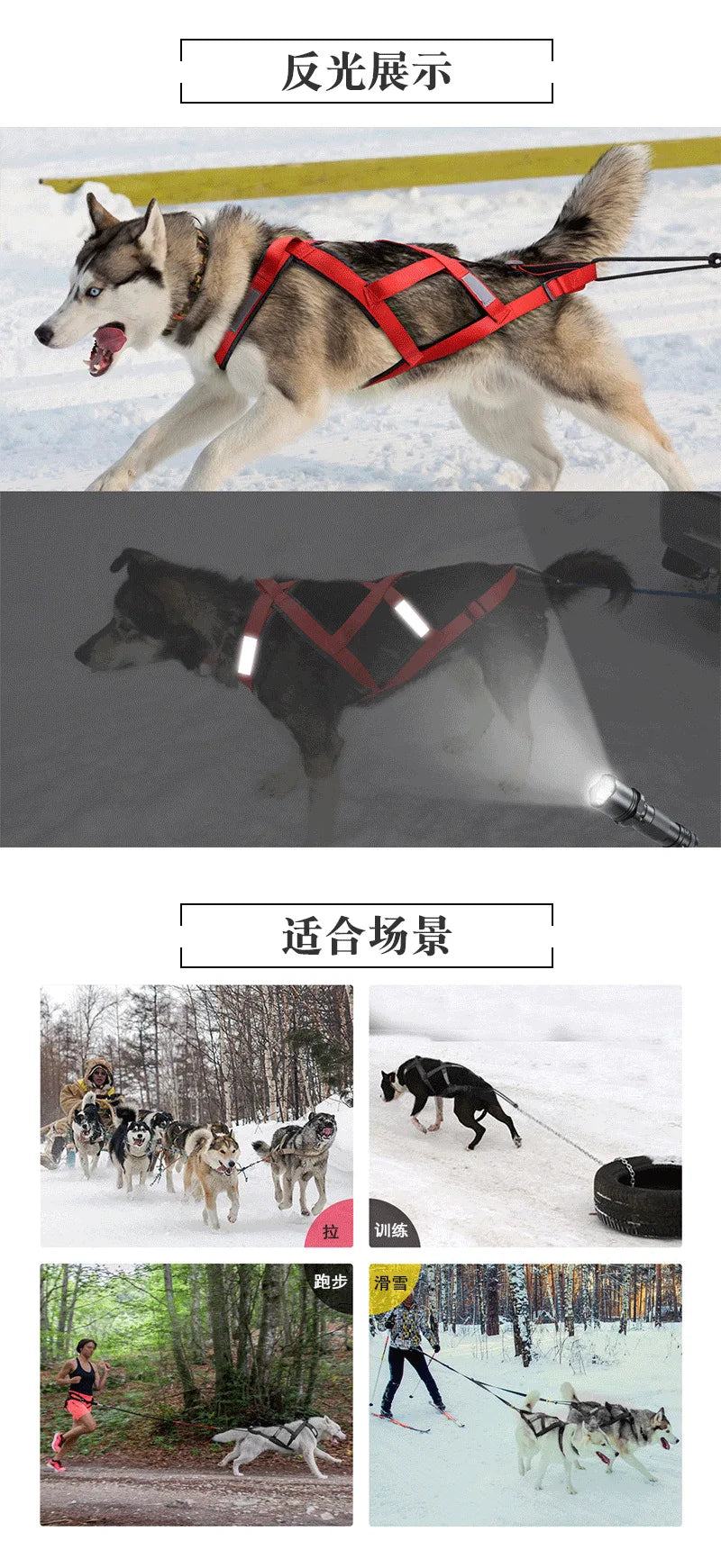 Reflective Dog Harness Vest for Sledding and Mushing Activities-My Little Pet