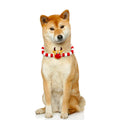 Festive Holiday Pet Bowtie Collar with Seasonal Design-My Little Pet