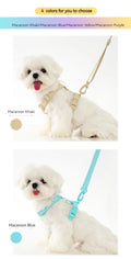 Macarone Color Pet Harness and Leash Set for Small Dogs and Cats-My Little Pet