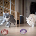 Interactive Cat Toy Balls with Stretchable Springs-My Little Pet