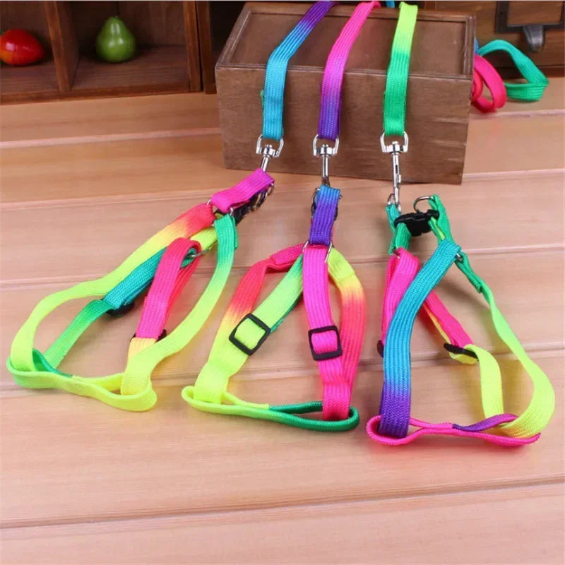 Colorful Rainbow Pet Harness and Leash Set-My Little Pet