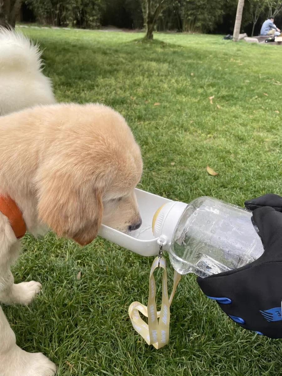 Portable 2-in-1 Dog Water Bottle & Food Container-My Little Pet