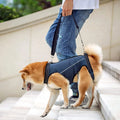 Adjustable Dog Rehabilitation Harness with Padded Straps-My Little Pet