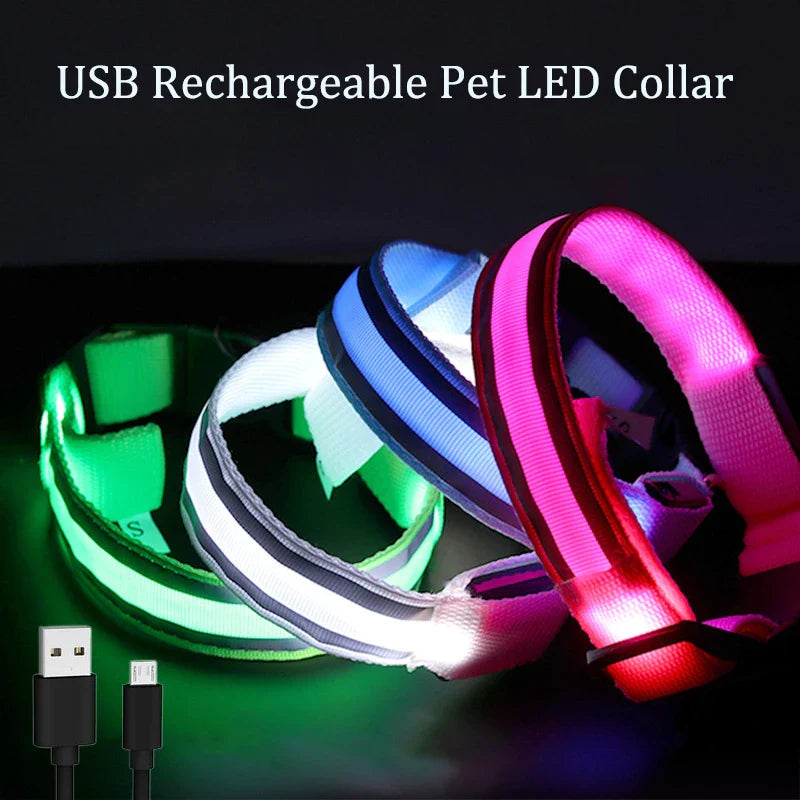 Reflective LED Dog Collar - USB Rechargeable and Button Battery Options-My Little Pet