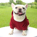 Stylish Dog Hoodie for Autumn and Winter - Warm Polyester Sweater for Small Pets-My Little Pet