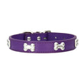 Premium Leather Dog Collar - Durable, Personalized Collars for All Dog Sizes-My Little Pet