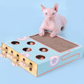 Interactive Cat Maze & Scratching Toy with Mouse Hunt Game-My Little Pet