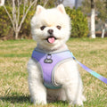 Supet Adjustable Pet Harness - Reflective and Breathable Vest for Dogs and Cats-My Little Pet