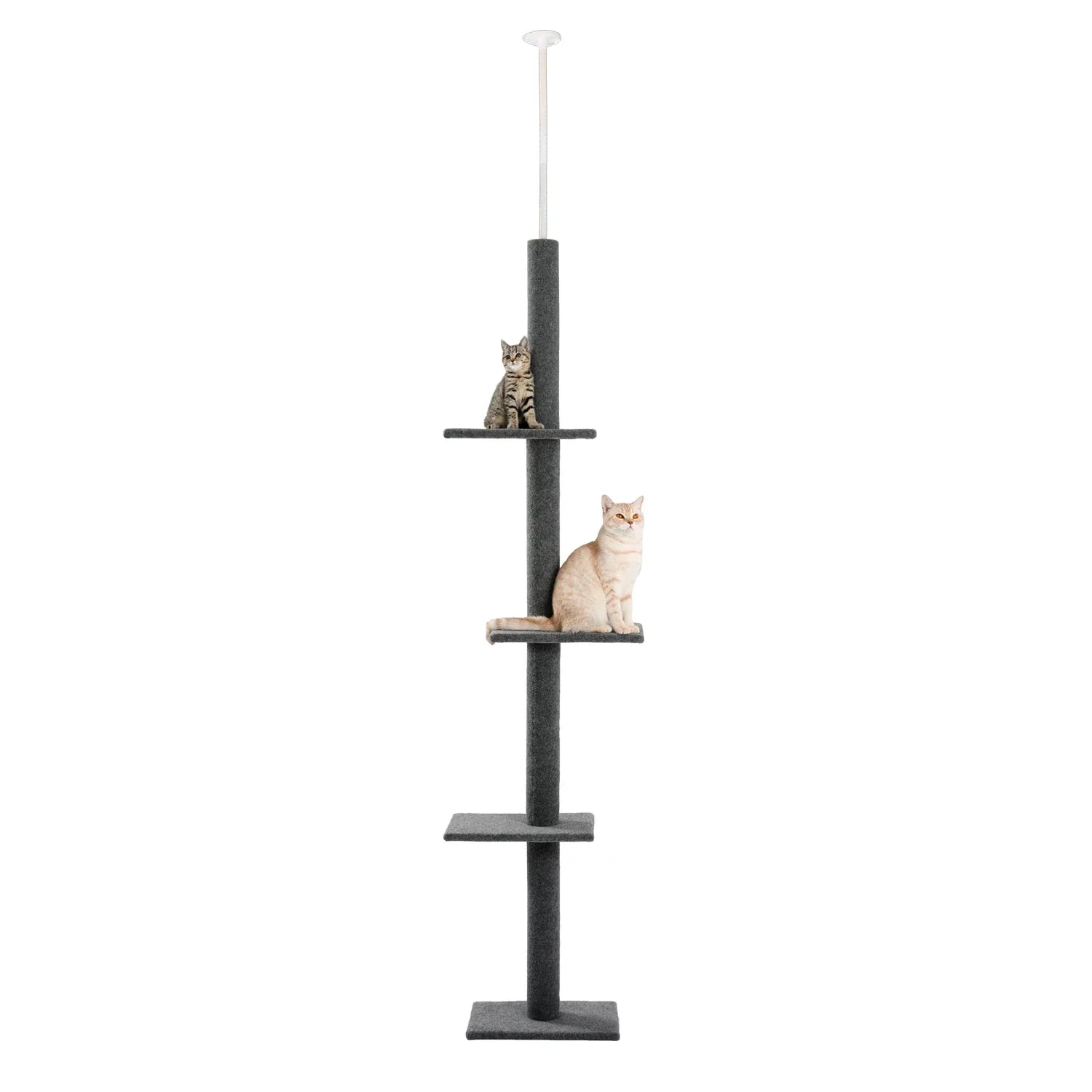 Floor-to-Ceiling Cat Tree - 228-274cm Tall Cat Climbing Tower-My Little Pet