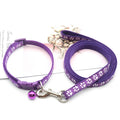 Adjustable Dog Leash and Collar Set with Paw Print Design-My Little Pet