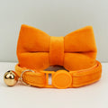 Velvet Cat Collar with Adjustable Safety and Bell-My Little Pet