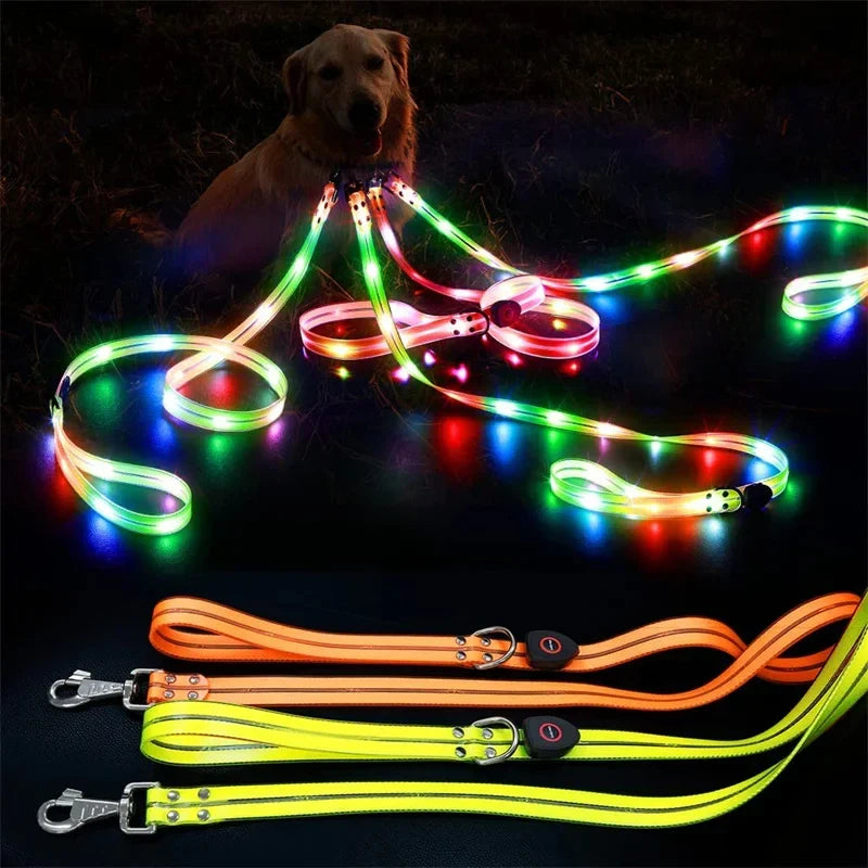 Rechargeable LED Dog Leash for Enhanced Nighttime Safety-My Little Pet