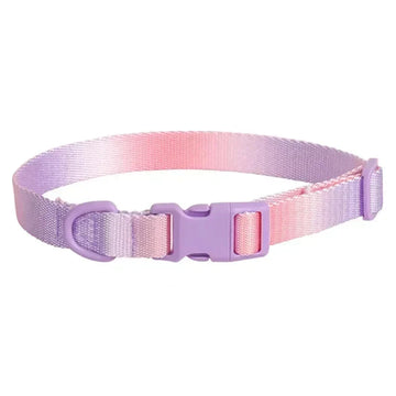 Adjustable Nylon Dog Collar with Quick Release - Available in Pink, Blue, Purple-My Little Pet